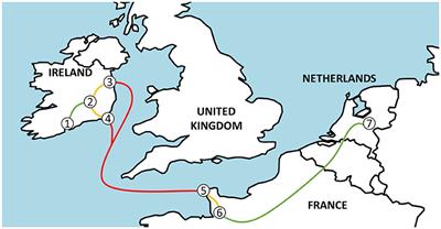 Effect of source and journey on physiological variables in calves transported by road and ferry between Ireland and the Netherlands